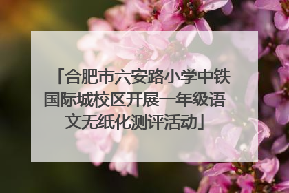合肥市六安路小学中铁国际城校区开展一年级语文无纸化测评活动