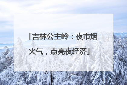 吉林公主岭：夜市烟火气，点亮夜经济