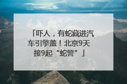 吓人，有蛇藏进汽车引擎盖！北京9天接9起“蛇警”