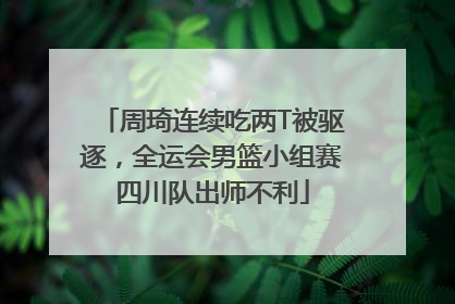 周琦连续吃两T被驱逐，全运会男篮小组赛四川队出师不利