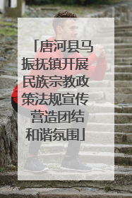 唐河县马振抚镇开展民族宗教政策法规宣传 营造团结和谐氛围