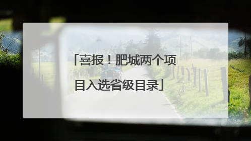 喜报！肥城两个项目入选省级目录