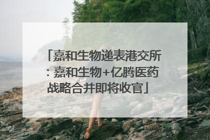 嘉和生物递表港交所：嘉和生物+亿腾医药战略合并即将收官