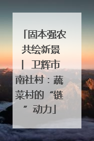 固本强农 共绘新景 ︳卫辉市南社村：蔬菜村的“链”动力