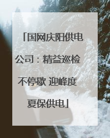 国网庆阳供电公司：精益巡检不停歇 迎峰度夏保供电