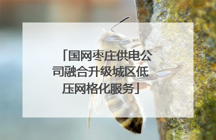 国网枣庄供电公司融合升级城区低压网格化服务