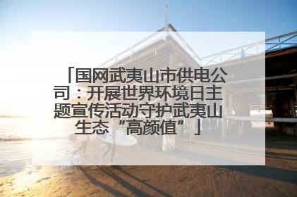 国网武夷山市供电公司：开展世界环境日主题宣传活动守护武夷山生态“高颜值”