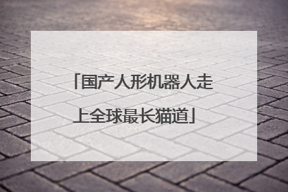 国产人形机器人走上全球最长猫道