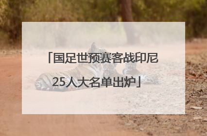 国足世预赛客战印尼25人大名单出炉