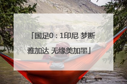 国足0∶1印尼 梦断雅加达 无缘美加墨