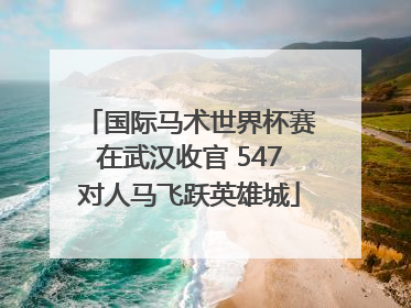 国际马术世界杯赛在武汉收官 547对人马飞跃英雄城
