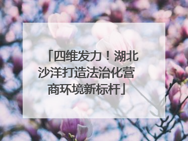 四维发力！湖北沙洋打造法治化营商环境新标杆