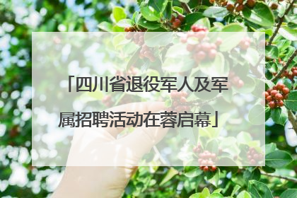四川省退役军人及军属招聘活动在蓉启幕