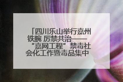 四川乐山举行嘉州铁腕 厉禁共治——“嘉网工程”禁毒社会化工作暨毒品集中销毁启动仪式
