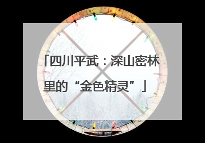 四川平武：深山密林里的“金色精灵”