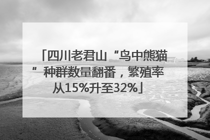 四川老君山“鸟中熊猫”种群数量翻番，繁殖率从15%升至32%