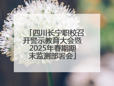 四川长宁职校召开警示教育大会暨2025年春期期末监测部署会