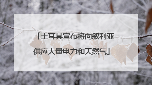 土耳其宣布将向叙利亚供应大量电力和天然气