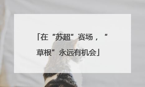 在“苏超”赛场，“草根”永远有机会