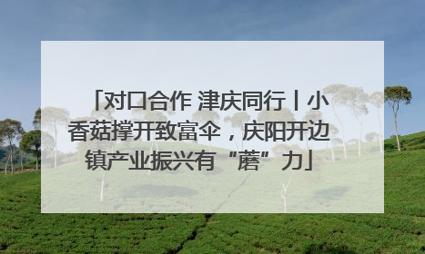 对口合作 津庆同行丨小香菇撑开致富伞，庆阳开边镇产业振兴有“蘑”力