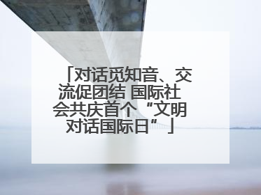 对话觅知音、交流促团结 国际社会共庆首个“文明对话国际日”