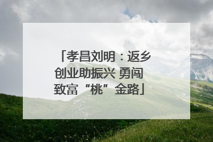 孝昌刘明：返乡创业助振兴 勇闯致富“桃”金路