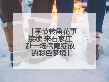 季节转角花事接续 来石家庄赴一场鸢尾绽放的彩色梦境