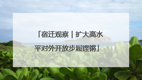 宿迁观察｜扩大高水平对外开放步履铿锵