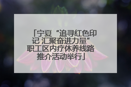 宁夏“追寻红色印记 汇聚奋进力量”职工区内疗休养线路推介活动举行