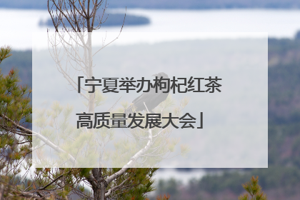宁夏举办枸杞红茶高质量发展大会