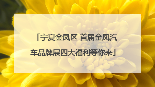 宁夏金凤区 首届金凤汽车品牌展四大福利等你来