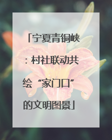 宁夏青铜峡：村社联动共绘“家门口”的文明图景
