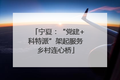 宁夏：“党建+科特派”架起服务乡村连心桥