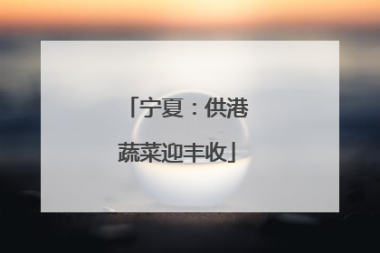 宁夏：供港蔬菜迎丰收