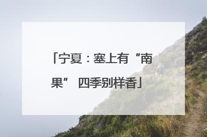 宁夏：塞上有“南果” 四季别样香
