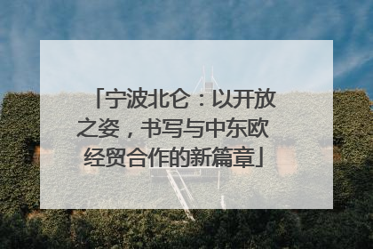 宁波北仑：以开放之姿，书写与中东欧经贸合作的新篇章