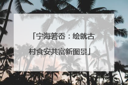 宁海箬岙：绘就古村食安共富新图景