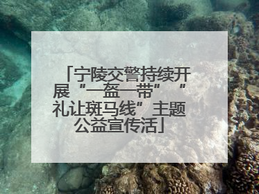 宁陵交警持续开展“一盔一带”“礼让斑马线”主题公益宣传活