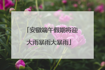 安徽端午假期将迎大雨暴雨大暴雨