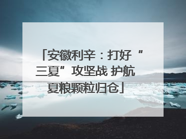 安徽利辛：打好“三夏”攻坚战 护航夏粮颗粒归仓