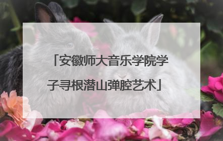安徽师大音乐学院学子寻根潜山弹腔艺术