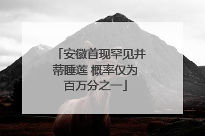 安徽首现罕见并蒂睡莲 概率仅为百万分之一