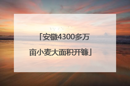 安徽4300多万亩小麦大面积开镰