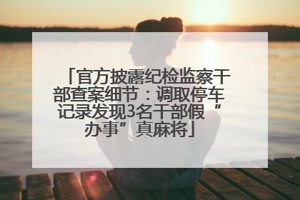 官方披露纪检监察干部查案细节：调取停车记录发现3名干部假“办事”真麻将