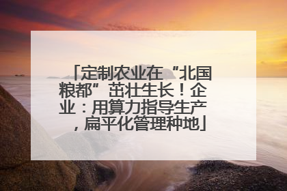 定制农业在“北国粮都”茁壮生长！企业：用算力指导生产，扁平化管理种地