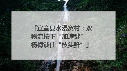 宜章县水浸窝村：双物流按下“加速键” 杨梅锁住“枝头鲜”