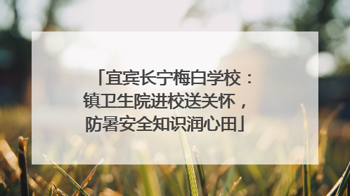 宜宾长宁梅白学校：镇卫生院进校送关怀，防暑安全知识润心田