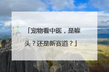 宠物看中医，是噱头？还是新赛道？