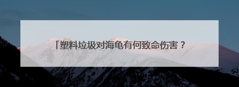 塑料垃圾对海龟有何致命伤害？世界环境日，走进开普敦海洋馆