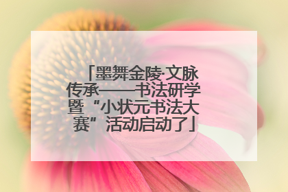 墨舞金陵·文脉传承——书法研学暨“小状元书法大赛”活动启动了